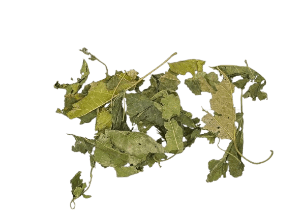 Mulberry Leaves - 12 kg bag