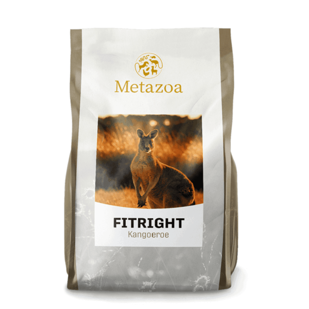 Metazoa Känguru