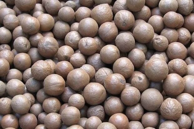 Macadamianüsse in der Schale - 10 kg
