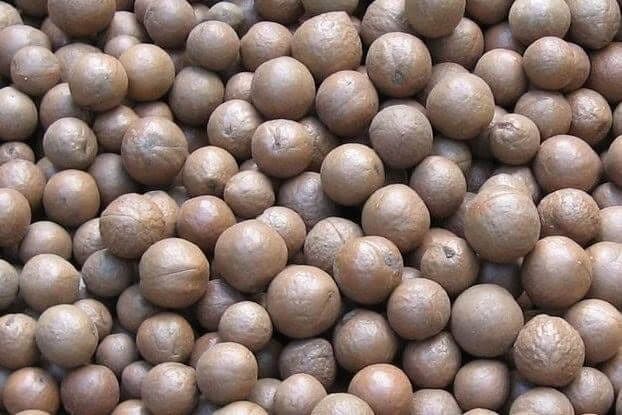 Macadamianüsse in der Schale - 10 kg