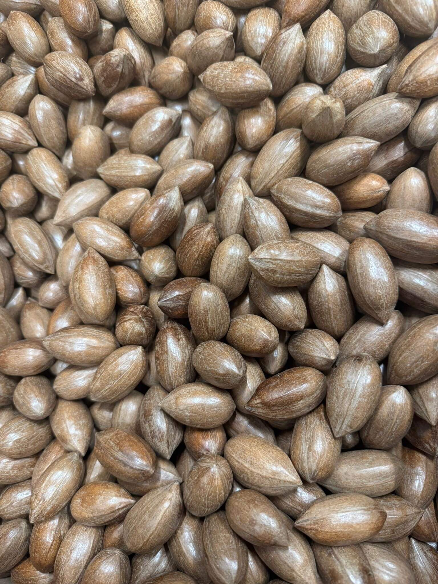 Pecannoten in dop - 12,5 kg