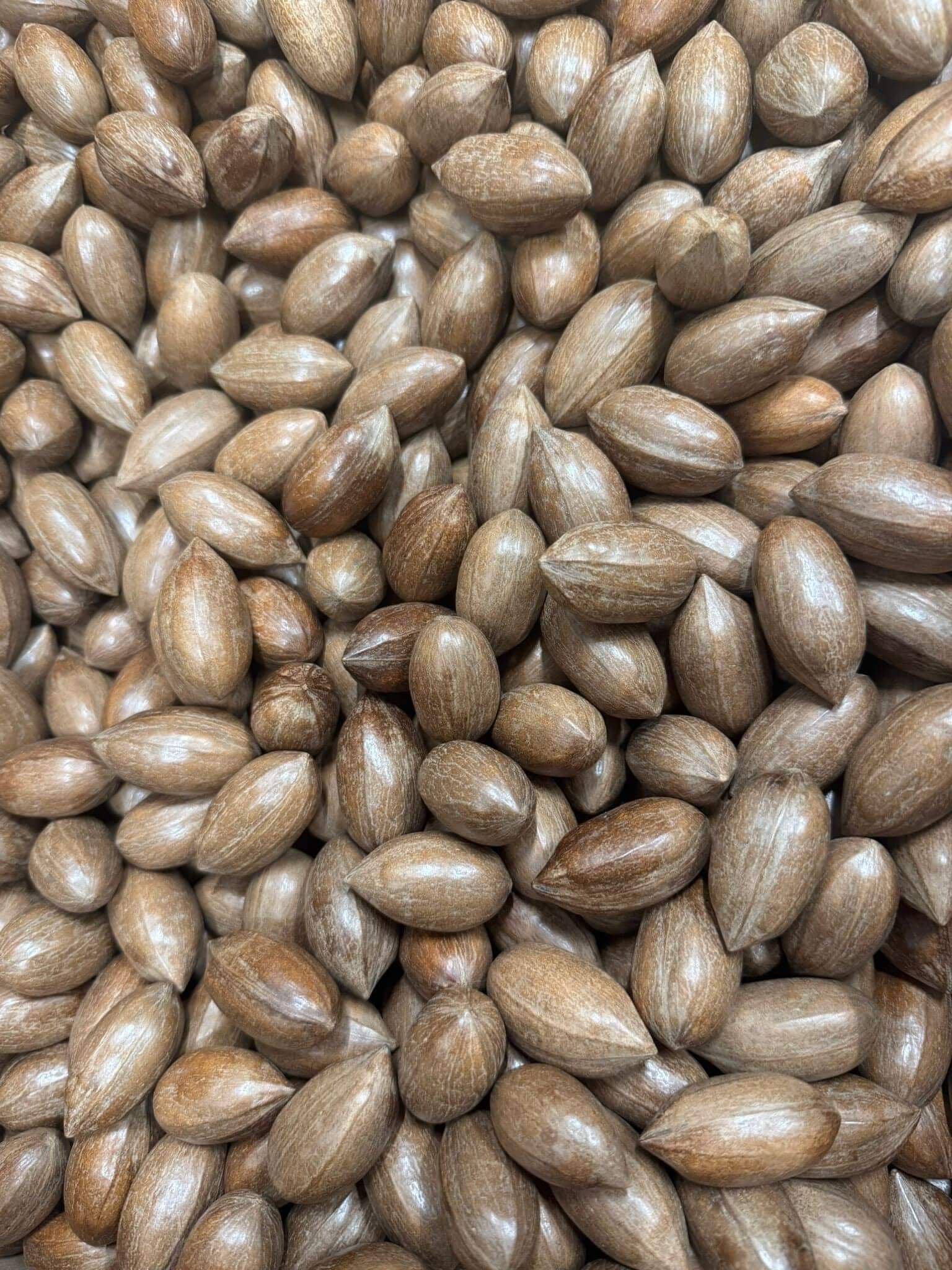 Pecan nuts in shell - 12,5 kg