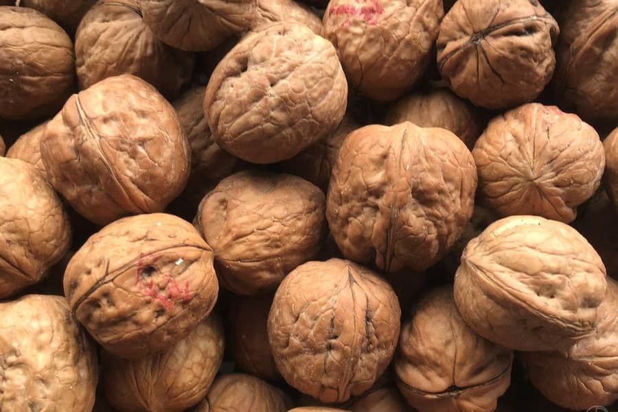 Walnüsse in der Schale - 10 kg