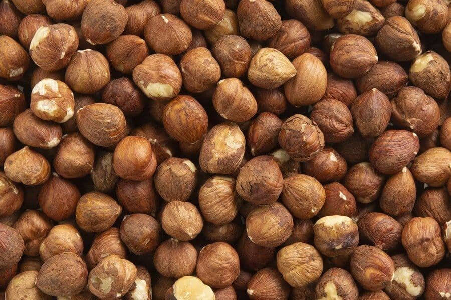 Hazelnoten zonder dop - 10 kg