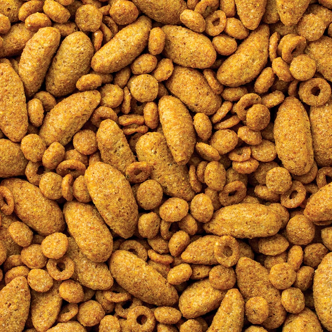 Large Bird Diet