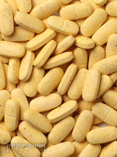 Marine Mammal Supplement