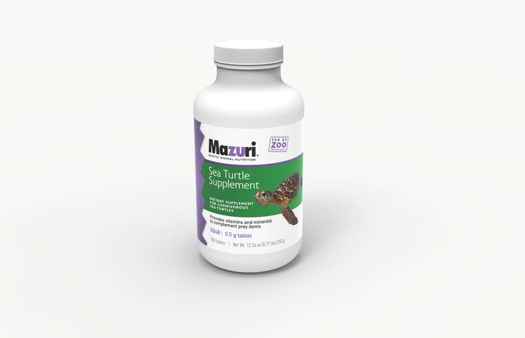 Sea Turtle Supplement