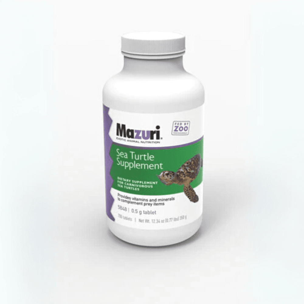 Sea Turtle Supplement