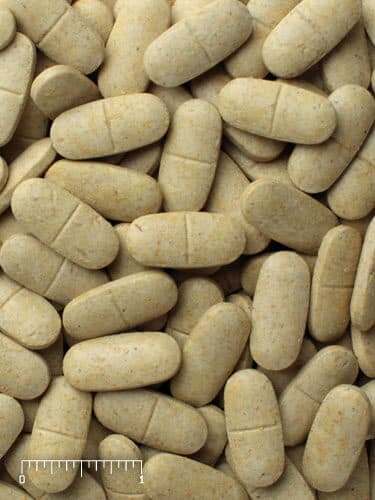 Shark & Ray Supplement (1,5 g tablets)