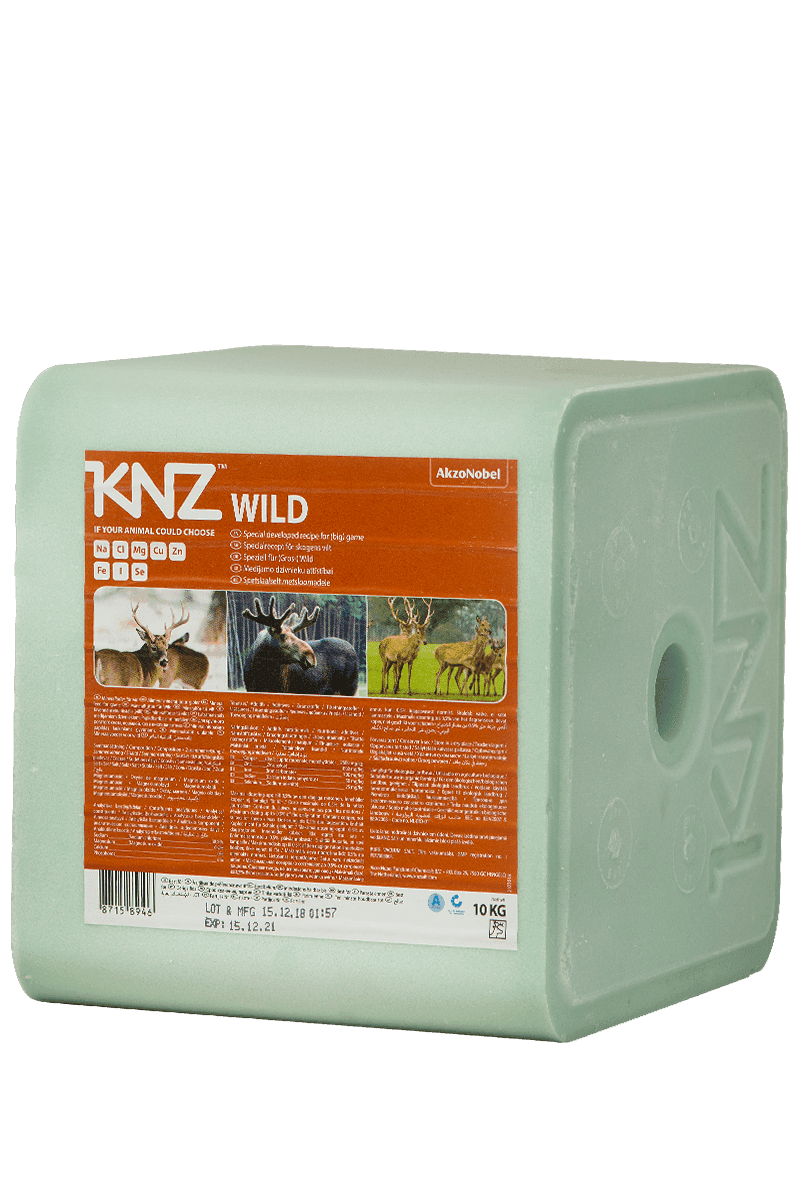 KNZ Leckstein Wild