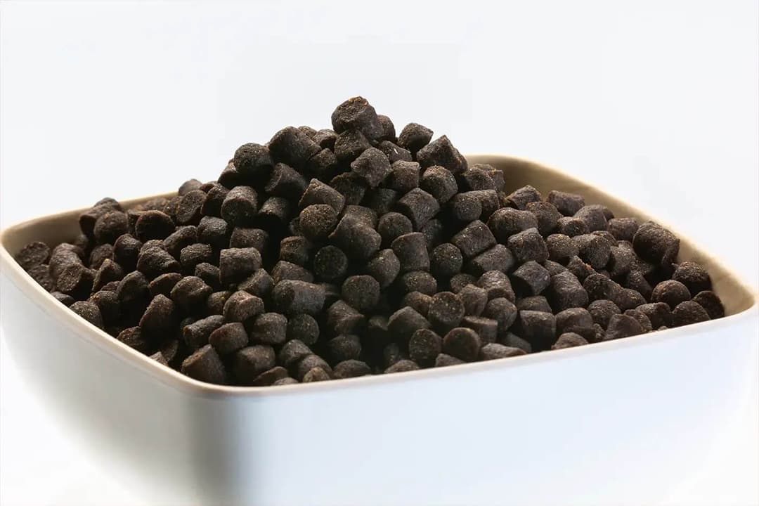 Sturgeon Pellets (6 mm)