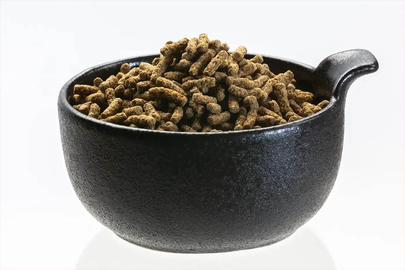 Turtle Sticks Brown