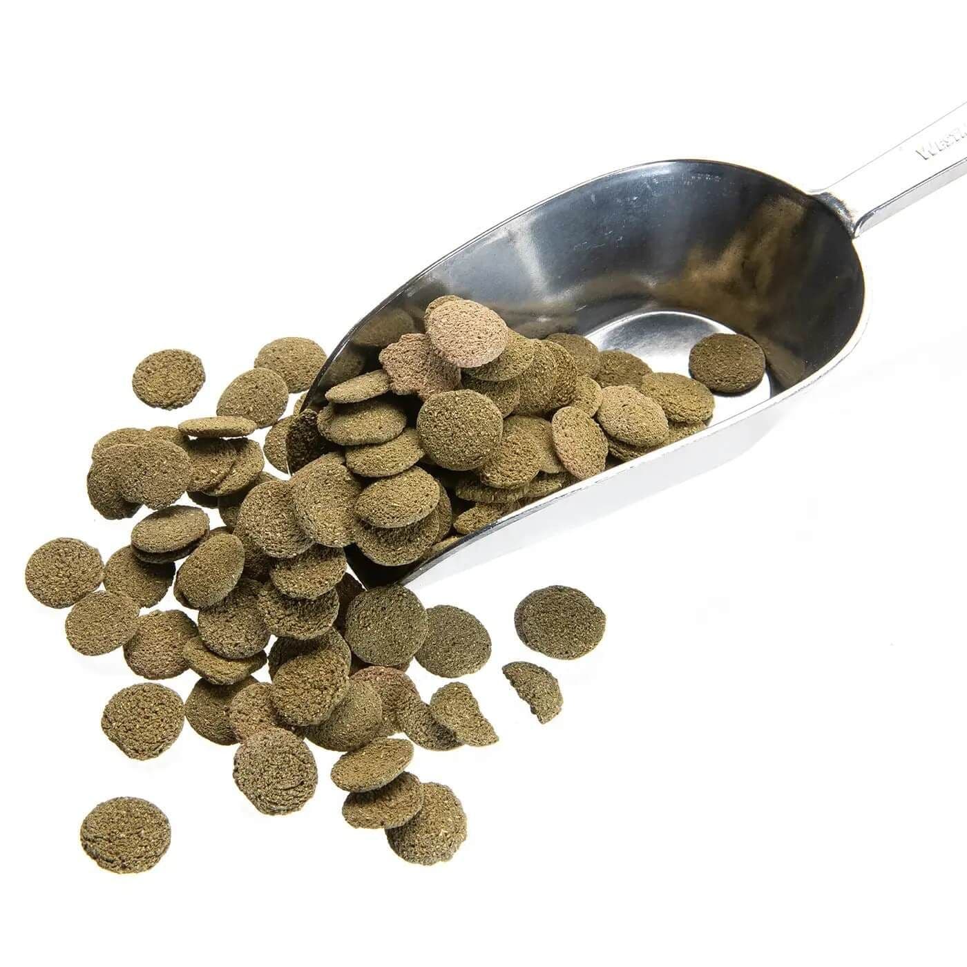 Algae Wafers Spirulina (12 mm)