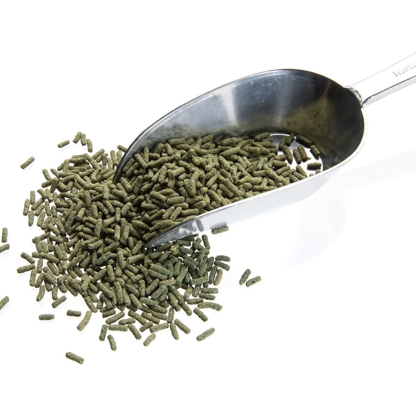 Cichlide Sticks Spirulina (2.5 mm)