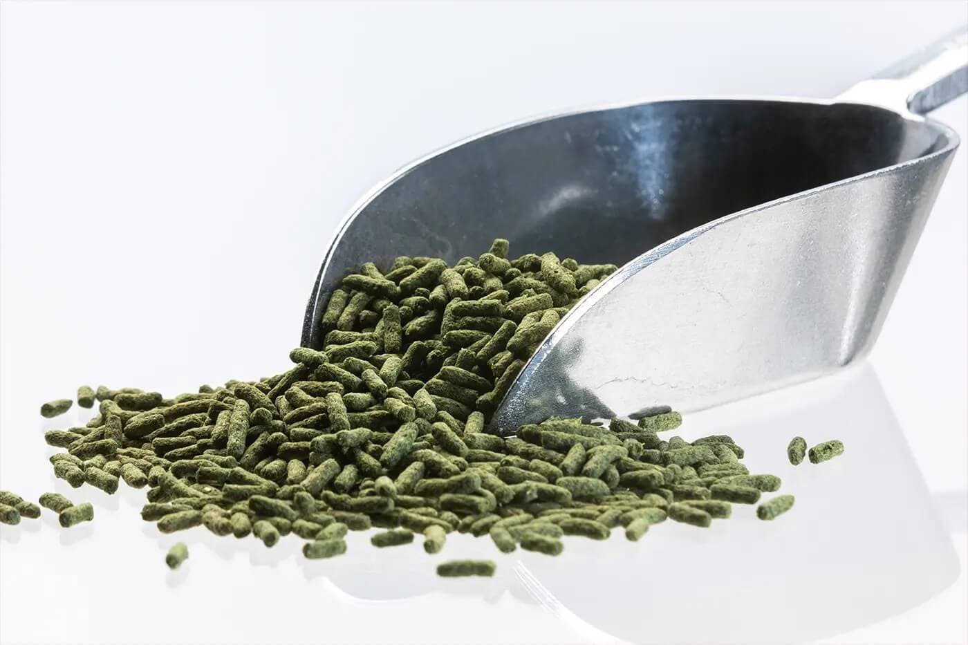 Cichlide Sticks Spirulina (2,5 mm)
