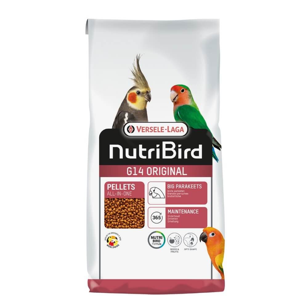 G14 Large Parakeet Original Maintenance