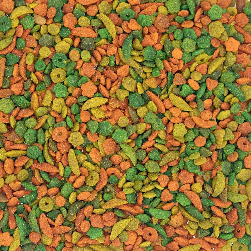 P19 Parrot Breeder Tropical