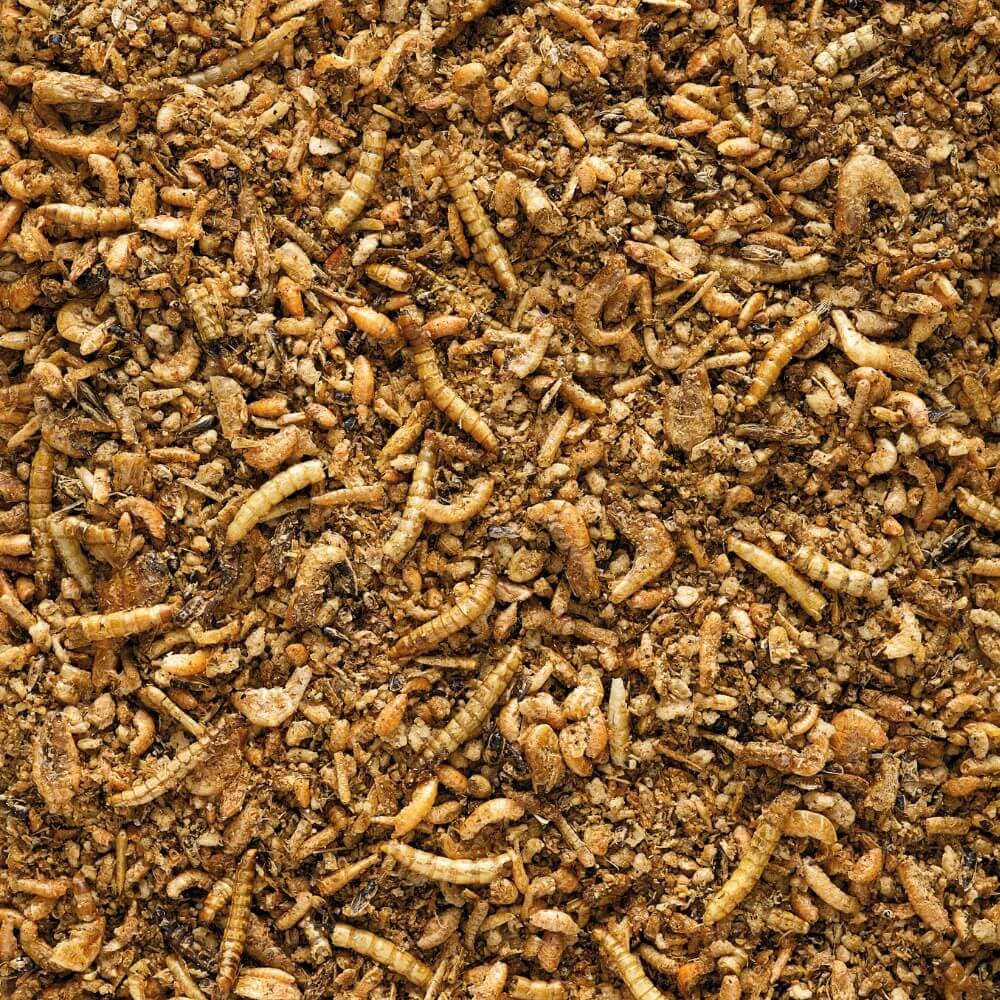 Insect Patee Premium - min. 50% insects