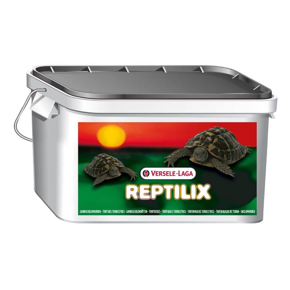 Reptilix schildpad