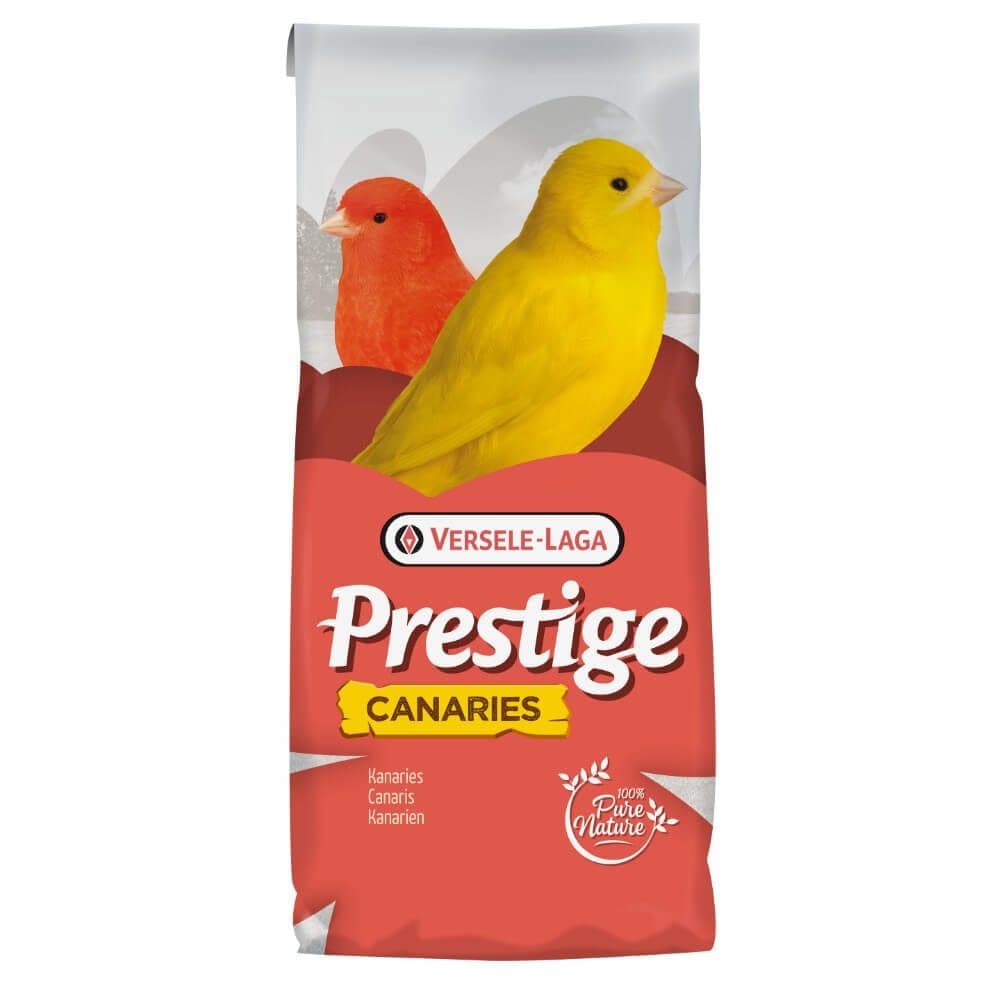 Canaries prestige