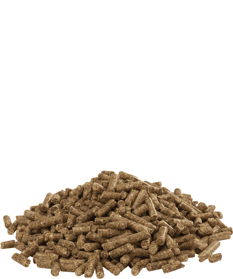 Austru 3 Pellet