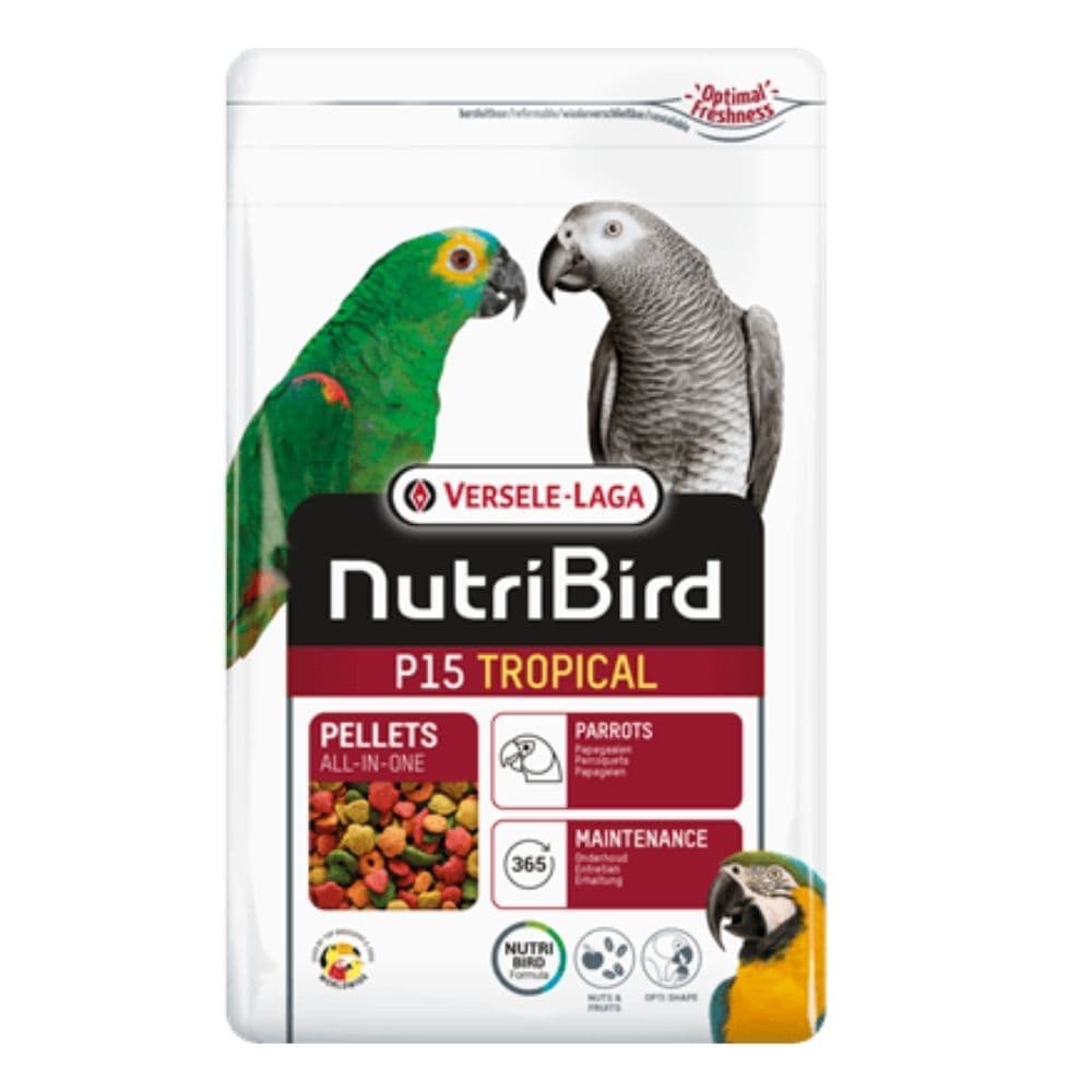 P15 Parrot Maintenance Tropical