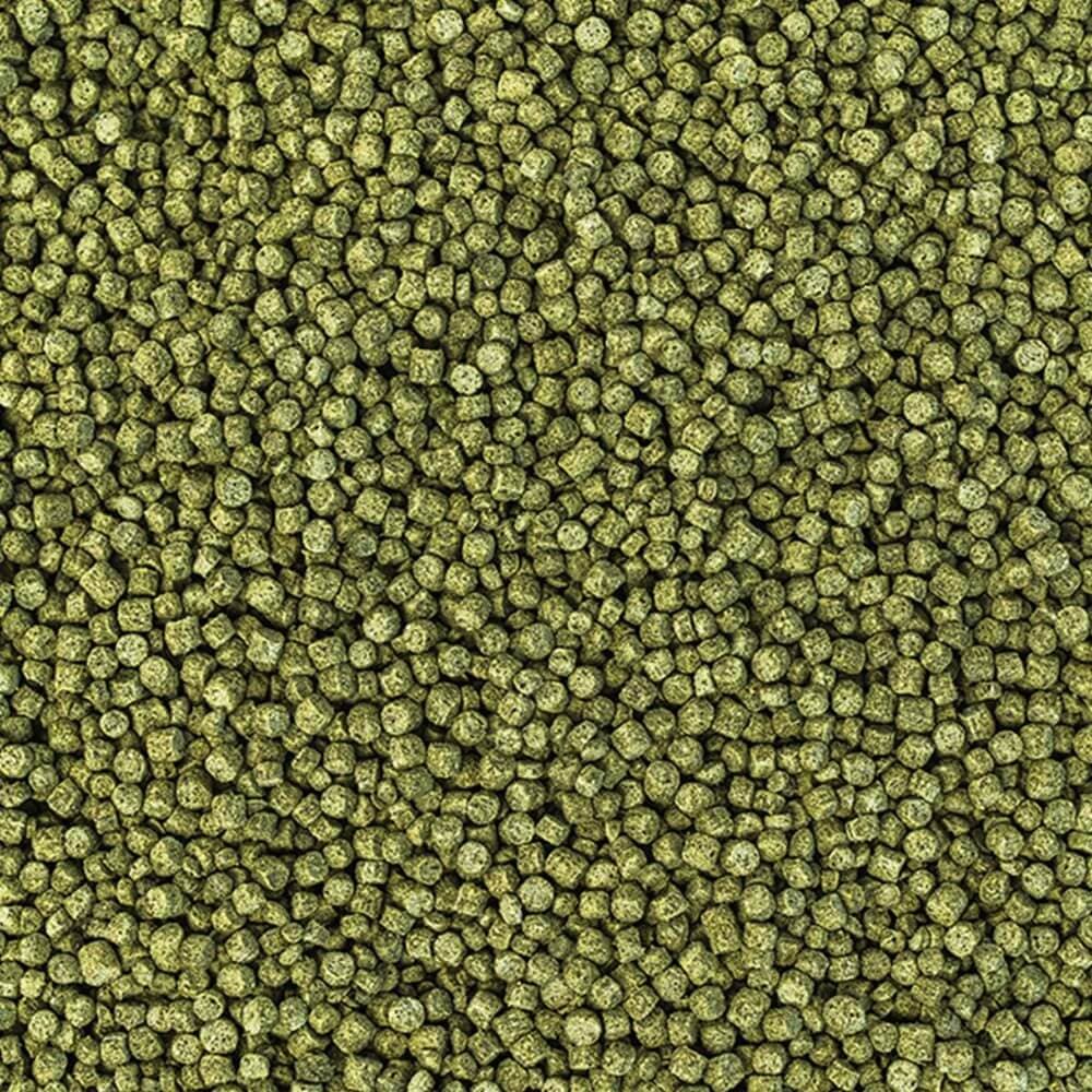 Wisbroek Parrot Nut Blend Daily Small