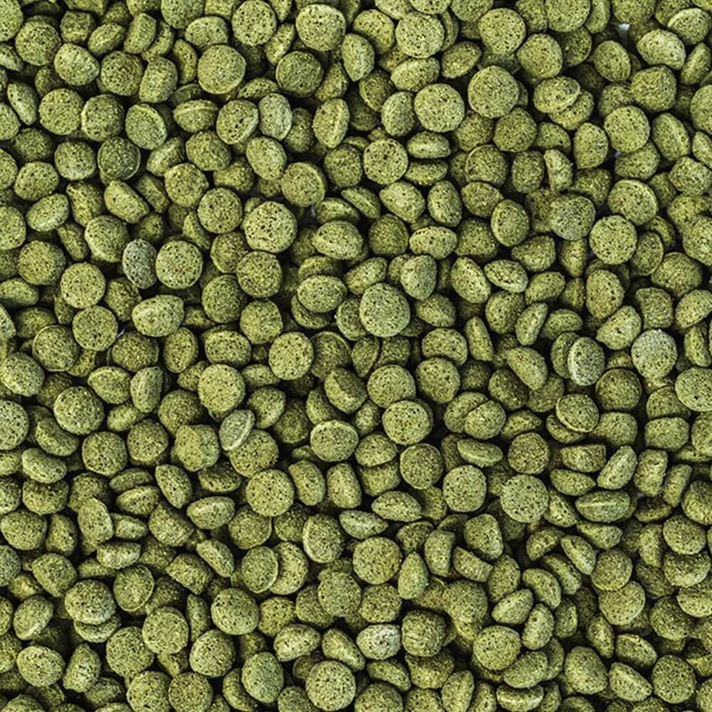 Wisbroek Parrot Nut Blend Daily Large