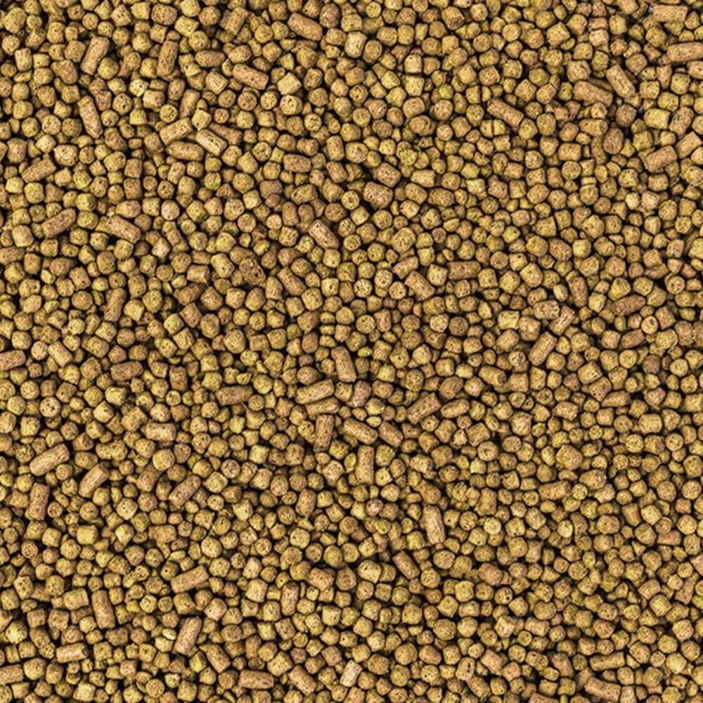 Wisbroek Parrot Low Fat Daily Small