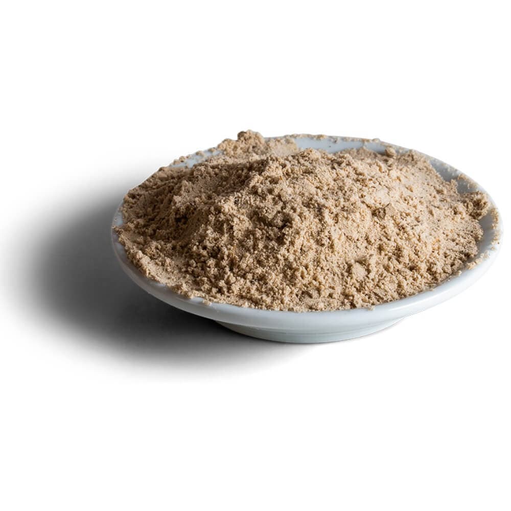 Wisbroek parrot high protein handfeeding
