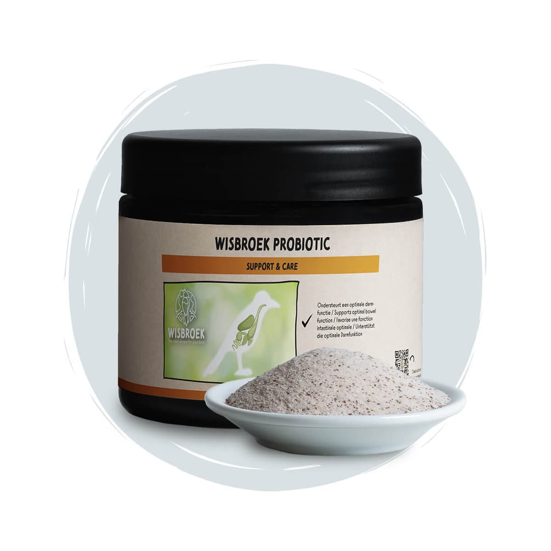 Wisbroek Probiotic 250 g
