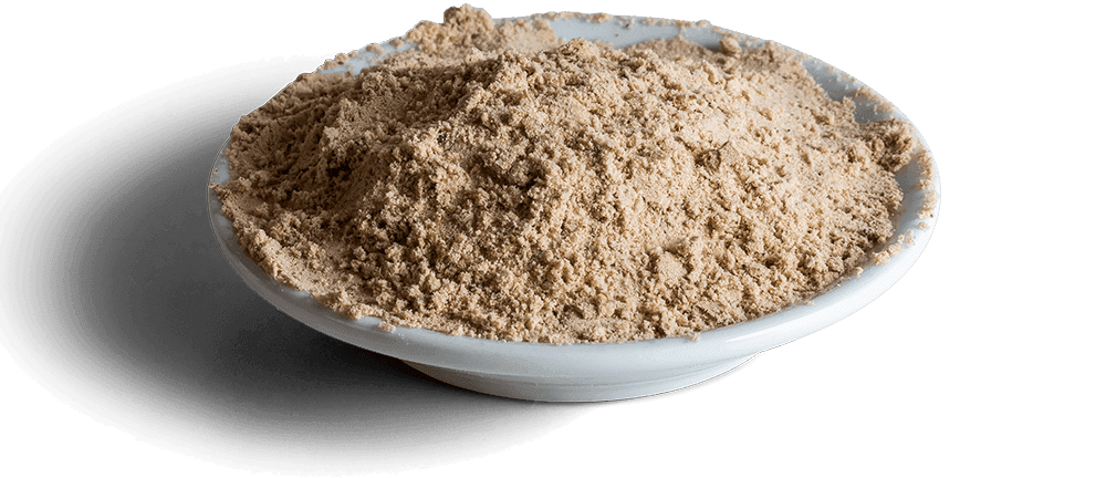 Wisbroek Parrot High Protein Handfeeding