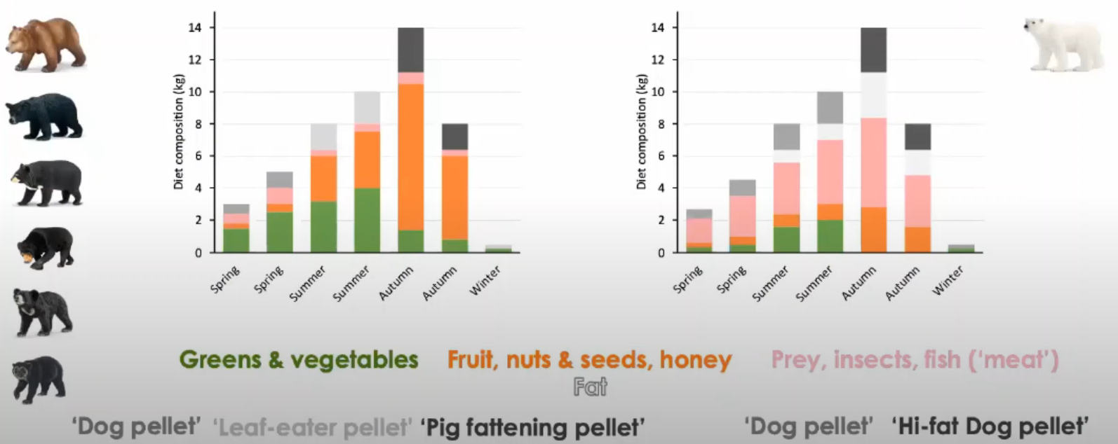 Seizoensgebonden dieet.png