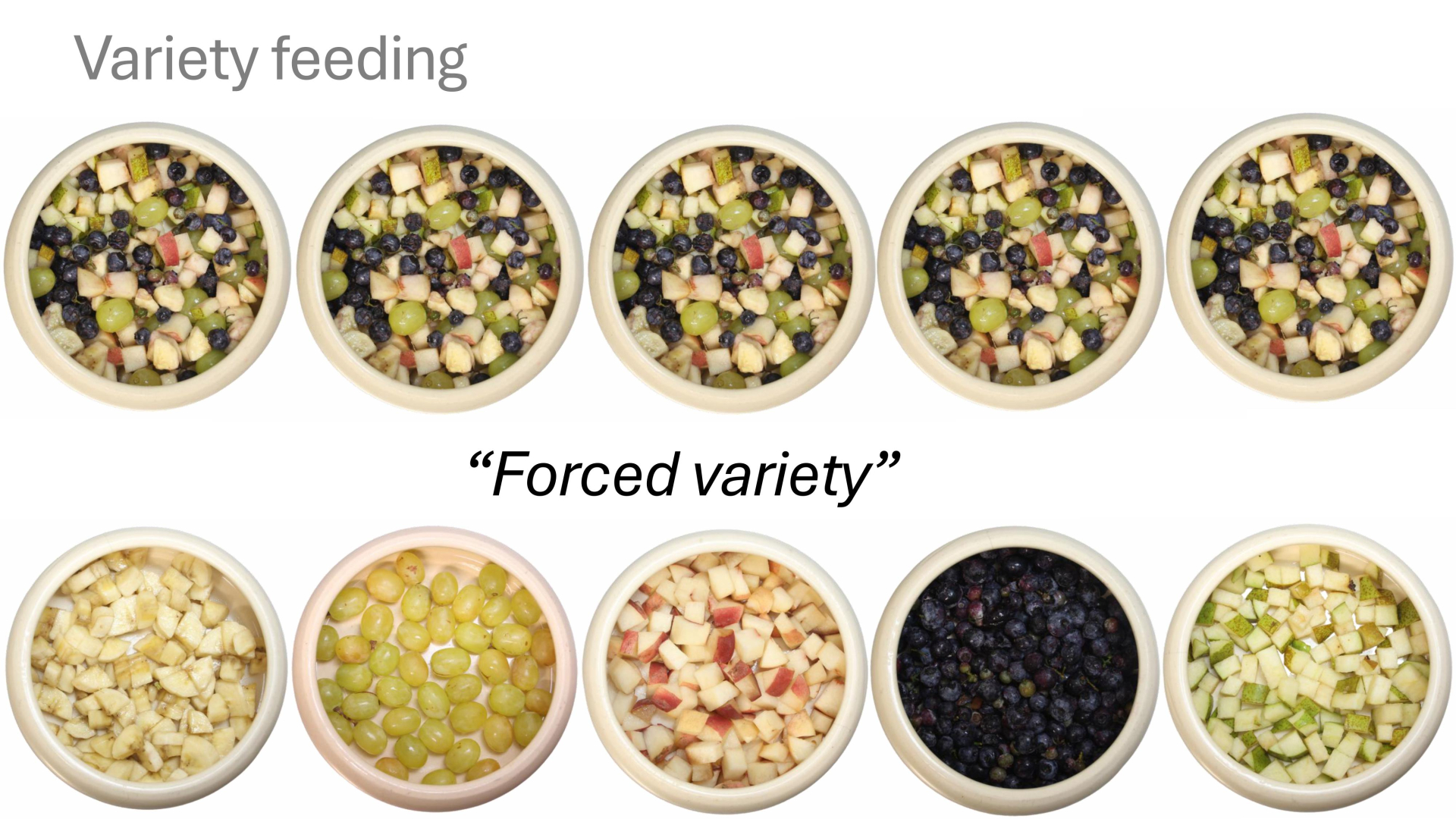 Selectie Kiezebrink-afbeeldingen-0 (1).jpg