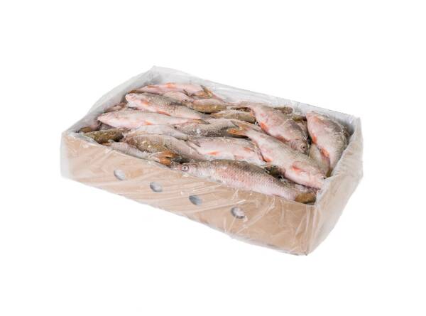 Zoetwatervis (voorn) - 10 kg doos