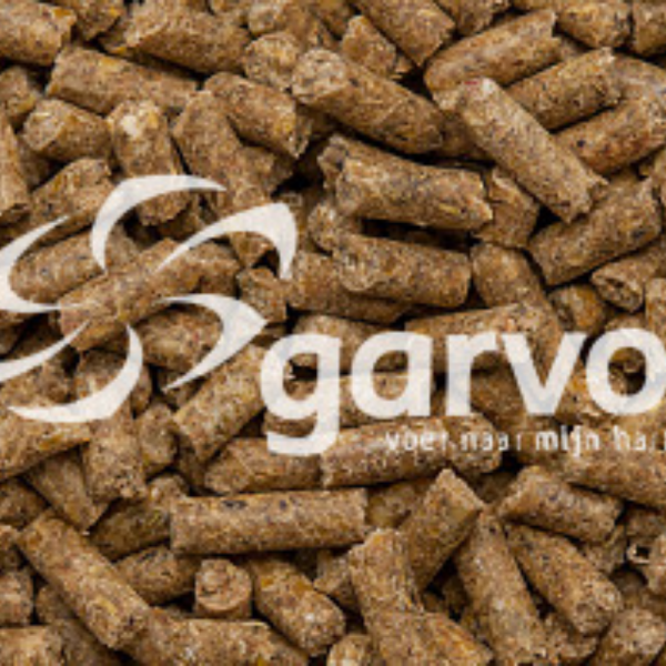 Fancy poultry pride (partridges, quails, pheasants) 826