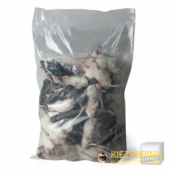 Große Mäuse >23 g