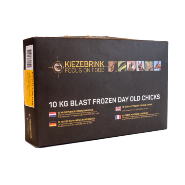 Eendagskuikens 10 kg (zwarte doos)