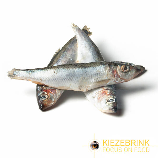 Herring Large MSC - ca. 24 kg box Herring Large MSC - ca. 24 kg box