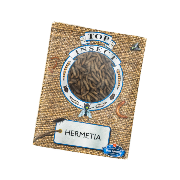 Hermetia Hermetia