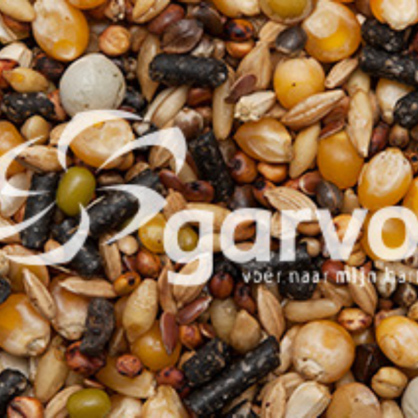 Solution (additional racing pigeons) 3864