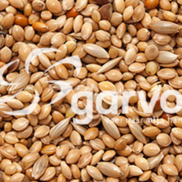 Tropical birds basic 5351