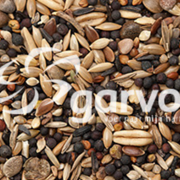 European indigenous bird mixture 5345