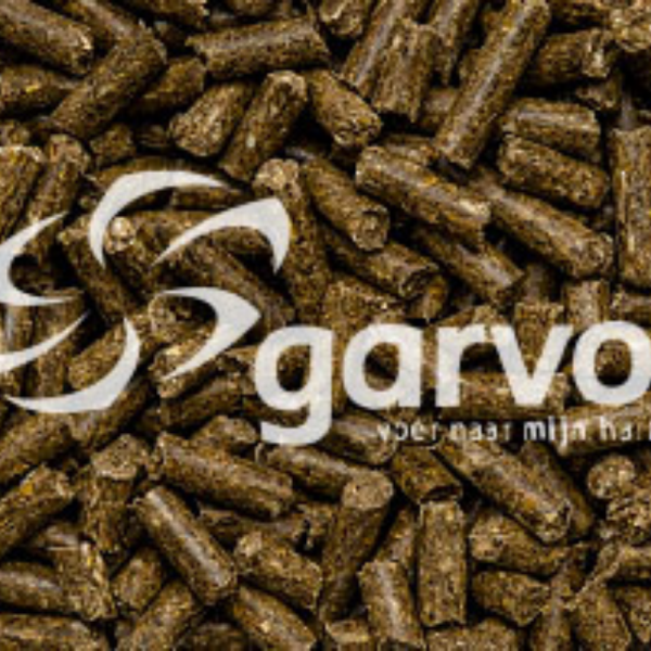 Loopvogelbrok (nandoe/emu/struisv)