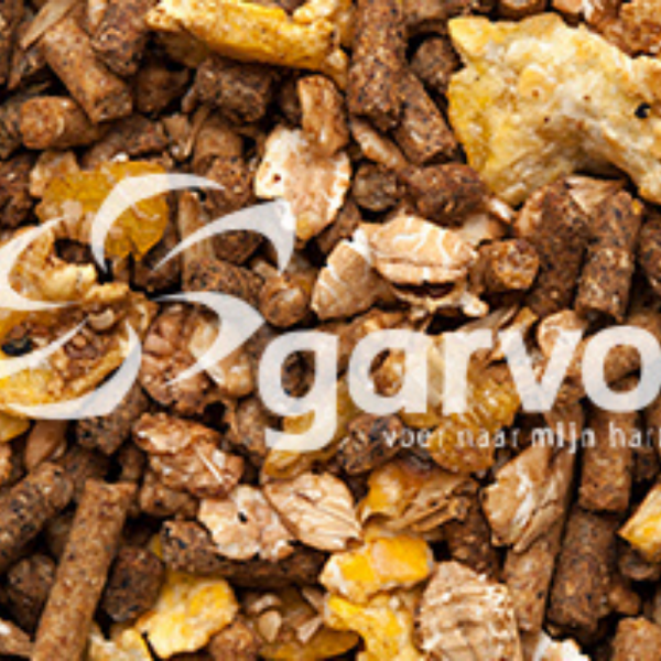 Alfamix Goat Alfamix Goat