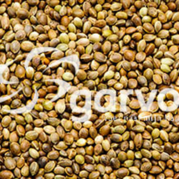 Hempseed (fine)