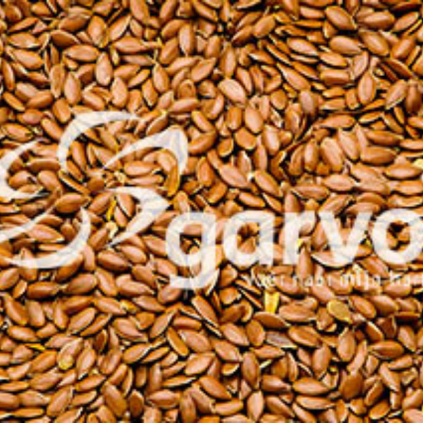 Linseeds 5321
