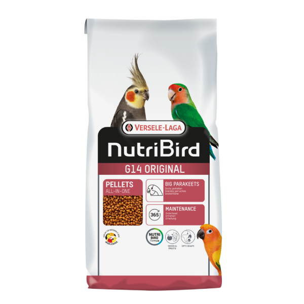 G14 Large Parakeet Original Maintenance G14 Large Parakeet Original Maintenance