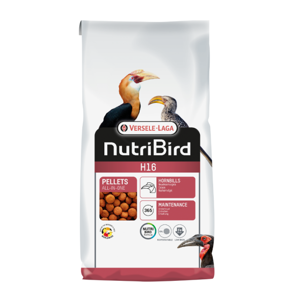 H16 Hornbill Maintenance and Breeder H16 Hornbill Maintenance and Breeder