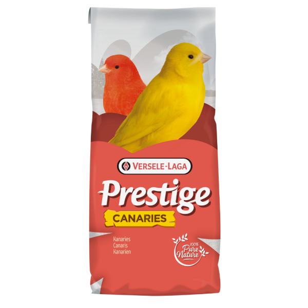 Canaries Prestige Canaries Prestige